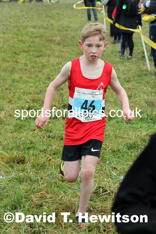 Boys under-13s, 2021 North Eastern Cross Country Championships, Sedgefield. Photo: David T. Hewitson/Sports for All Pics